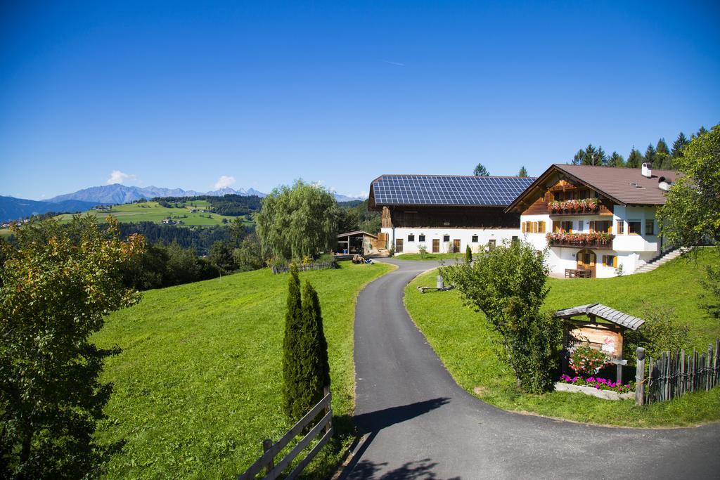 Gastreinhof Mölten Eksteriør bilde