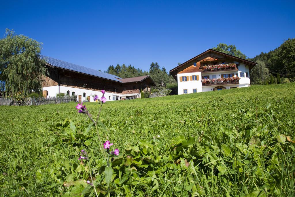 Gastreinhof Mölten Eksteriør bilde