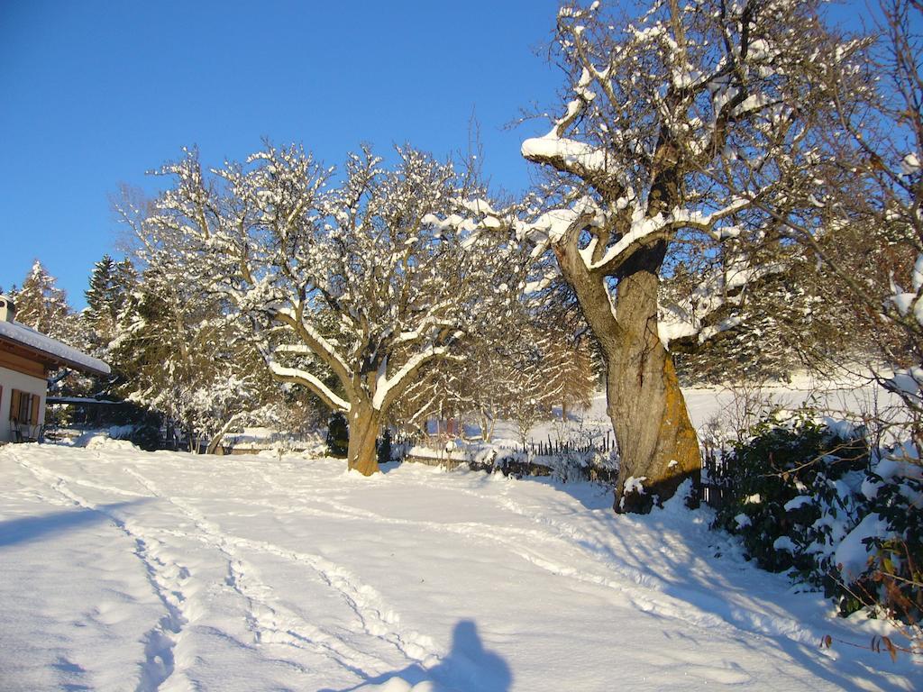 Gastreinhof Mölten Eksteriør bilde